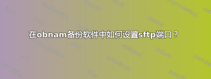 在obnam备份软件中如何设置sftp端口？