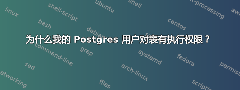 为什么我的 Postgres 用户对表有执行权限？