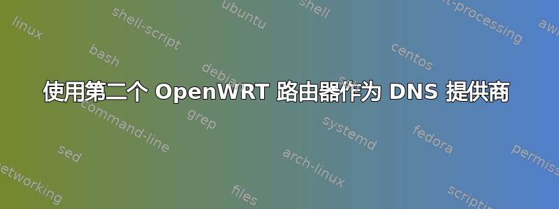 使用第二个 OpenWRT 路由器作为 DNS 提供商