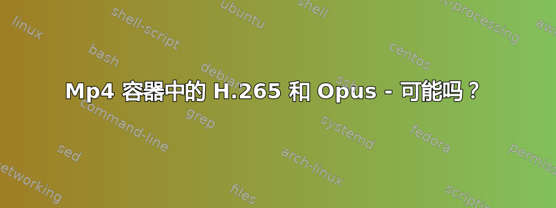 Mp4 容器中的 H.265 和 Opus - 可能吗？