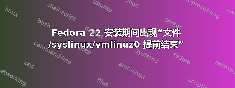 Fedora 22 安装期间出现“文件 /syslinux/vmlinuz0 提前结束”