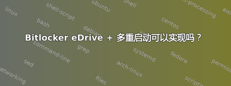 Bitlocker eDrive + 多重启动可以实现吗？