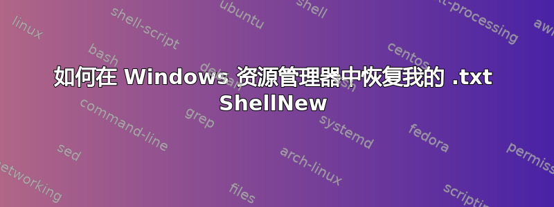 如何在 Windows 资源管理器中恢复我的 .txt ShellNew