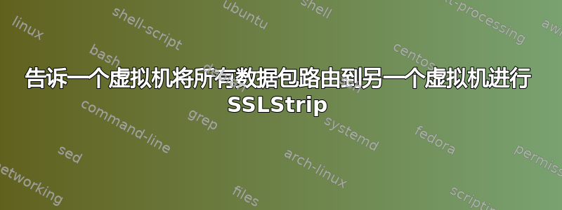 告诉一个虚拟机将所有数据包路由到另一个虚拟机进行 SSLStrip