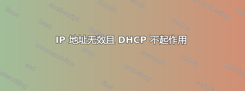 IP 地址无效且 DHCP 不起作用