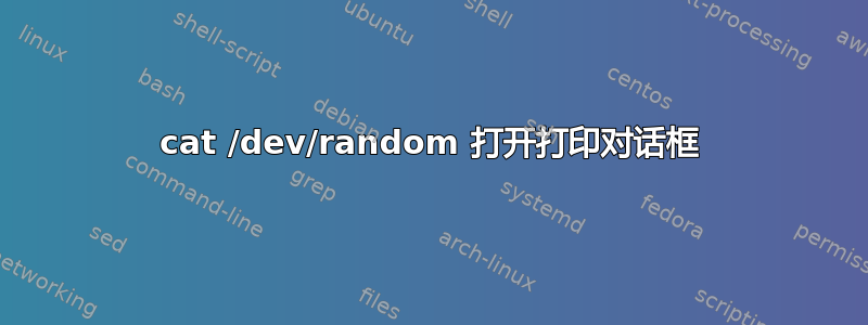 cat /dev/random 打开打印对话框