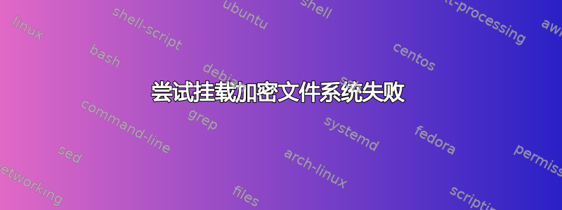 尝试挂载加密文件系统失败