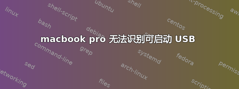 macbook pro 无法识别可启动 USB