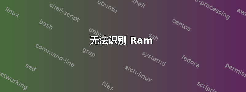 无法识别 Ram