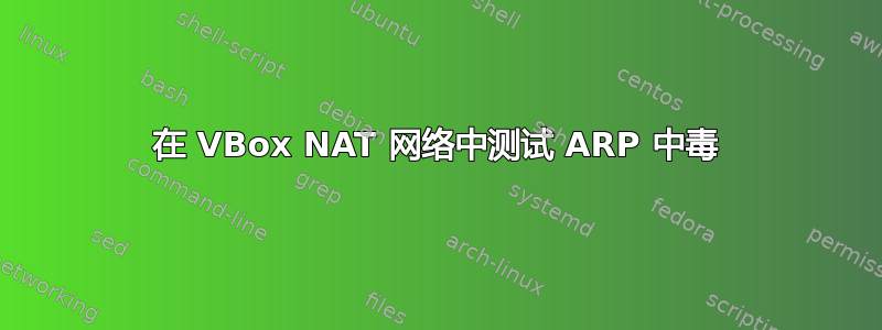 在 VBox NAT 网络中测试 ARP 中毒