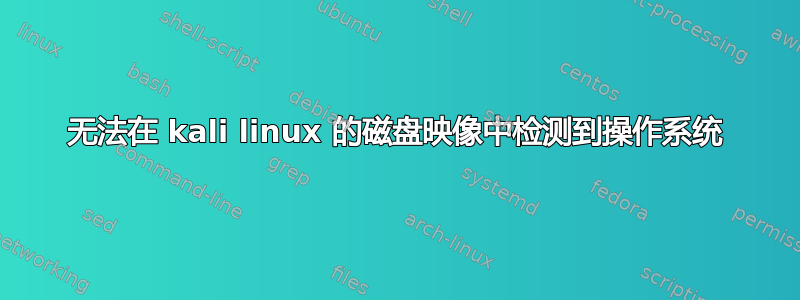 无法在 kali linux 的磁盘映像中检测到操作系统