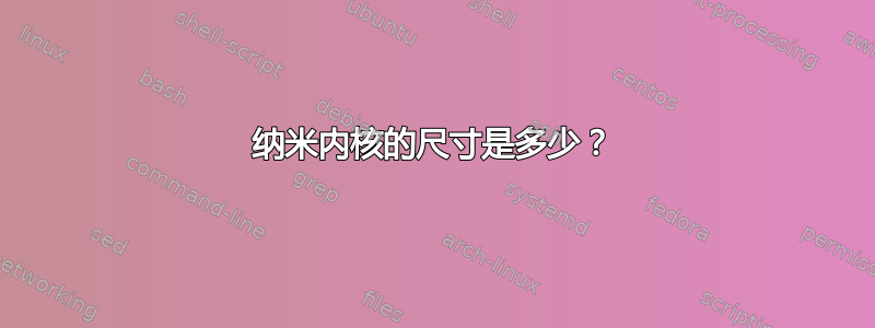 纳米内核的尺寸是多少？