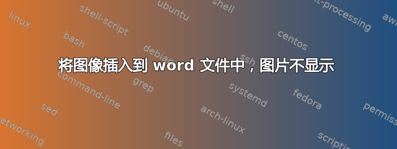 将图像插入到 word 文件中，图片不显示