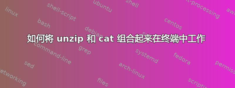 如何将 unzip 和 cat 组合起来在终端中工作