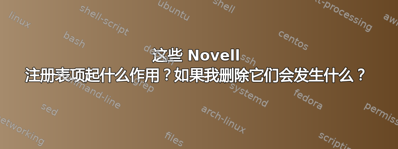 这些 Novell 注册表项起什么作用？如果我删除它们会发生什么？