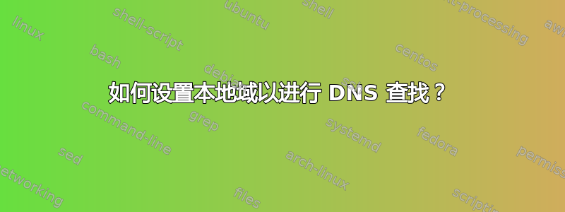 如何设置本地域以进行 DNS 查找？