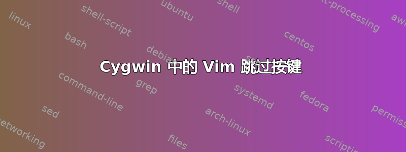 Cygwin 中的 Vim 跳过按键