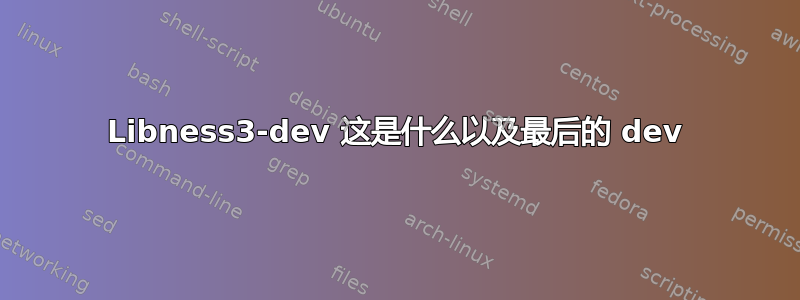 Libness3-dev 这是什么以及最后的 dev