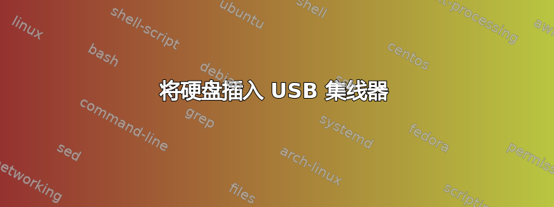 将硬盘插入 USB 集线器