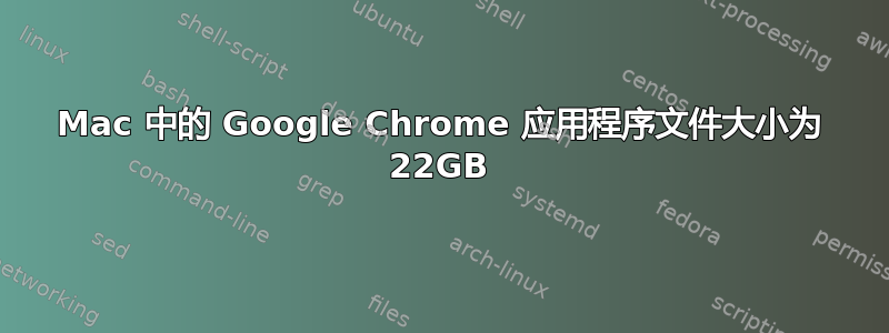 Mac 中的 Google Chrome 应用程序文件大小为 22GB