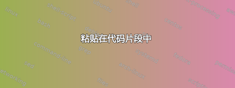 粘贴在代码片段中