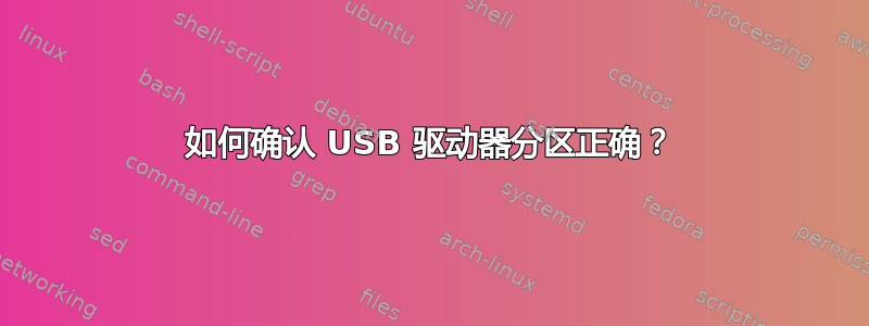 如何确认 USB 驱动器分区正确？