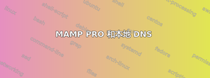 MAMP PRO 和本地 DNS