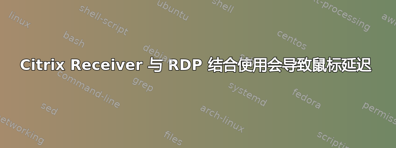 Citrix Receiver 与 RDP 结合使用会导致鼠标延迟