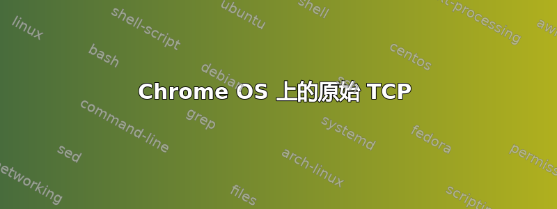 Chrome OS 上的原始 TCP