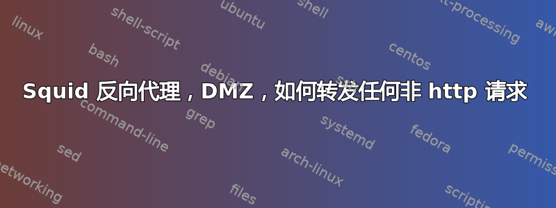 Squid 反向代理，DMZ，如何转发任何非 http 请求