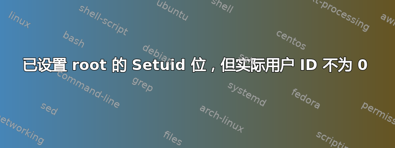 已设置 root 的 Setuid 位，但实际用户 ID 不为 0