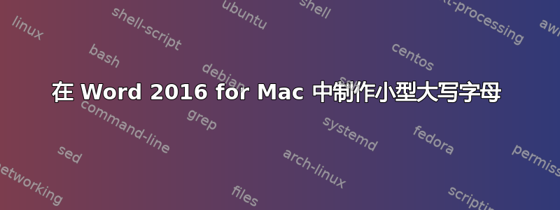 在 Word 2016 for Mac 中制作小型大写字母