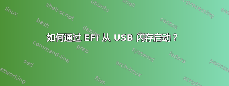 如何通过 EFI 从 USB 闪存启动？