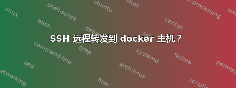 SSH 远程转发到 docker 主机？