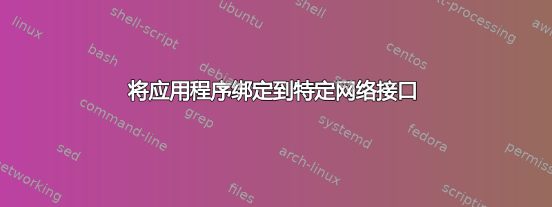 将应用程序绑定到特定网络接口