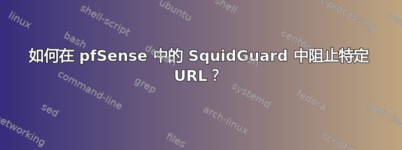 如何在 pfSense 中的 SquidGuard 中阻止特定 URL？