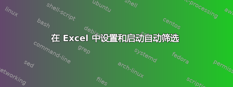 在 Excel 中设置和启动自动筛选