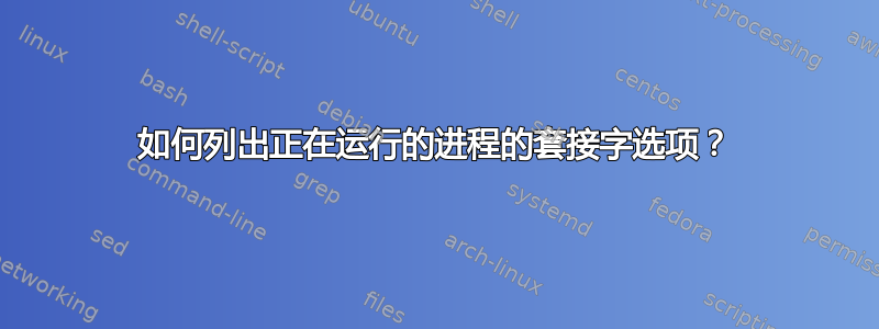 如何列出正在运行的进程的套接字选项？