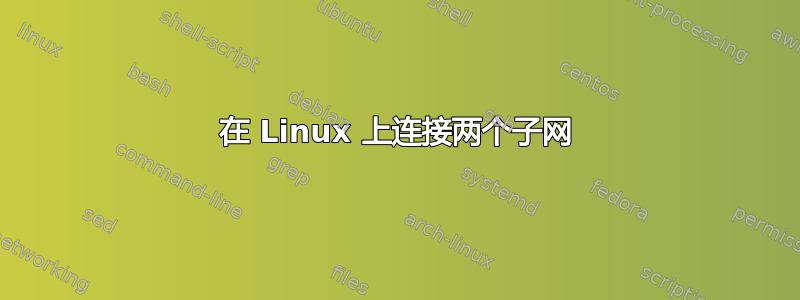 在 Linux 上连接两个子网