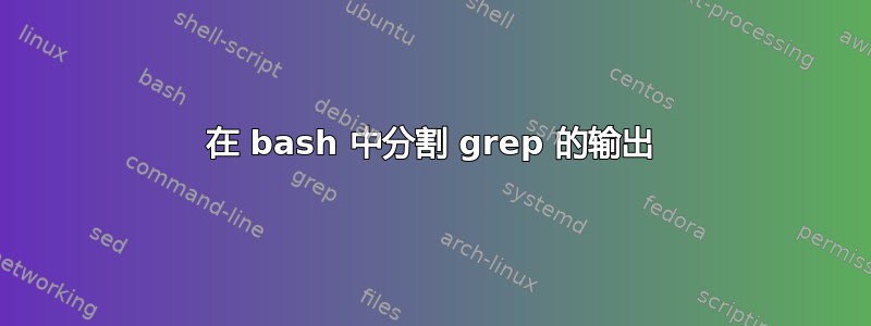 在 bash 中分割 grep 的输出