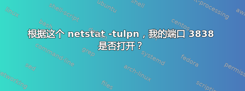 根据这个 netstat -tulpn，我的端口 3838 是否打开？