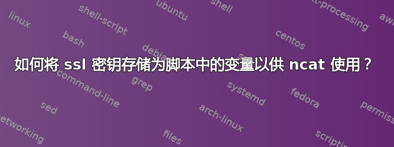 如何将 ssl 密钥存储为脚本中的变量以供 ncat 使用？