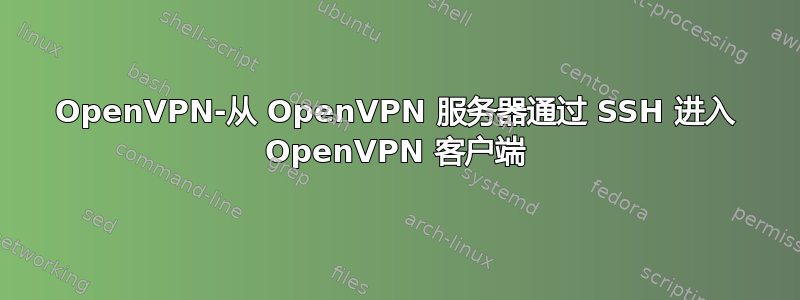 OpenVPN-从 OpenVPN 服务器通过 SSH 进入 OpenVPN 客户端