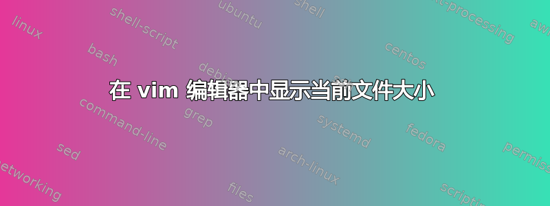 在 vim 编辑器中显示当前文件大小