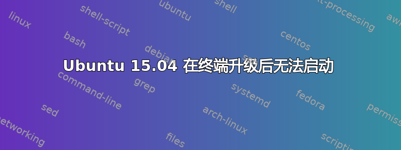 Ubuntu 15.04 在终端升级后无法启动