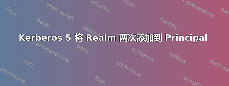 Kerberos 5 将 Realm 两次添加到 Principal