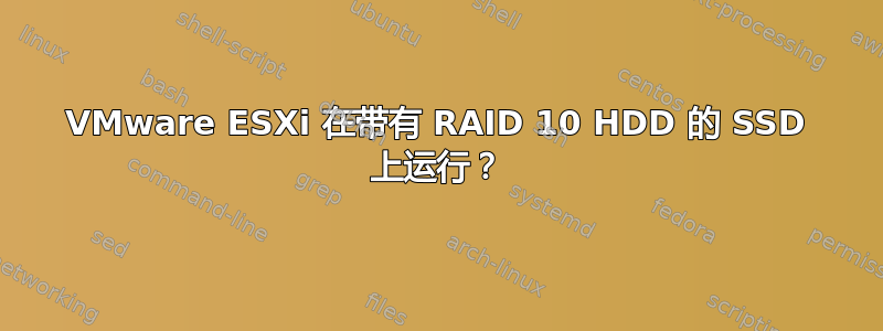 VMware ESXi 在带有 RAID 10 HDD 的 SSD 上运行？