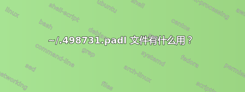 ~/.498731.padl 文件有什么用？