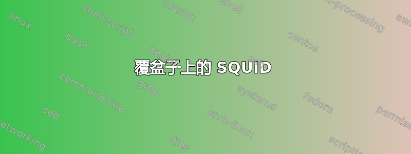 覆盆子上的 SQUID