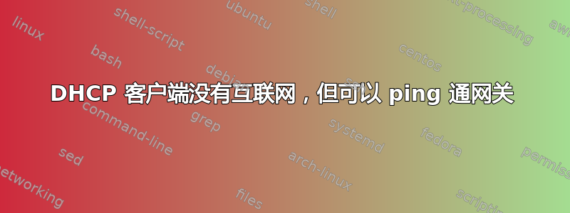 DHCP 客户端没有互联网，但可以 ping 通网关